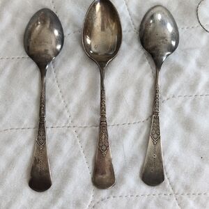 Elegant Silver Spoon Set